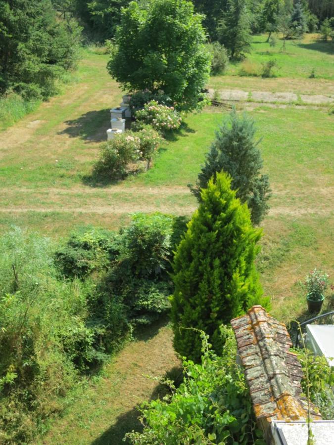 Chambres D'Hotes Du Moulin De La Chaussee Saint-Denis-d'Orques Buitenkant foto